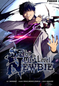 Solo Max-Level Newbie