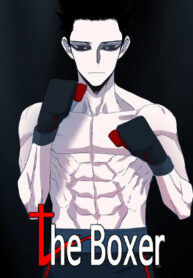 The Boxer